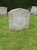 image number Bull Mary Jennie 707